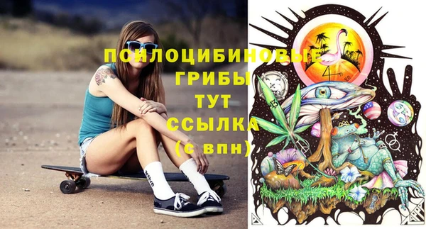 соль ск Заволжье